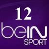 بى ان سبورت اتش دي 12 بث مباشر  - beIN Sports HD 12 live